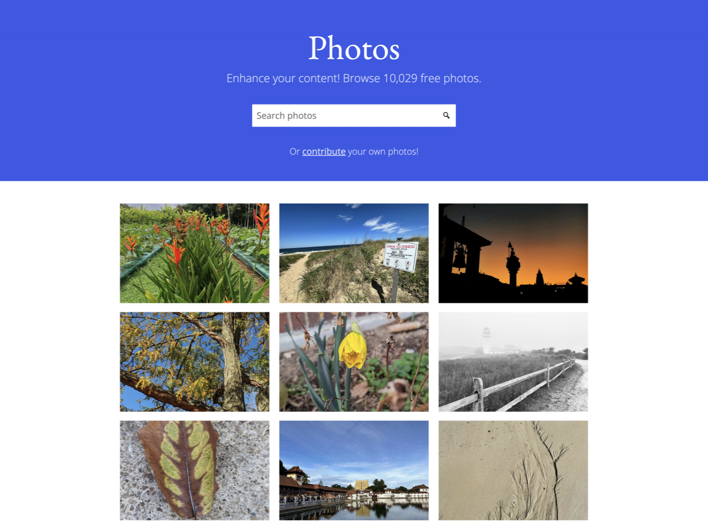 Behind the Lens: WordPress Photos Directory Surpasses 10,000 Images, Moderators Explore Future Enhan